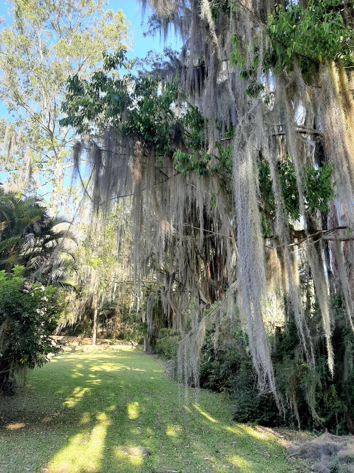 Sitio Riacho Das Pedras Teresópolis Eksteriør bilde